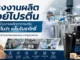 โรงงานผลิตเวย์โปรตีน